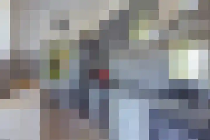 Plaswijcklaan 44 Rotterdam thumbnail 9