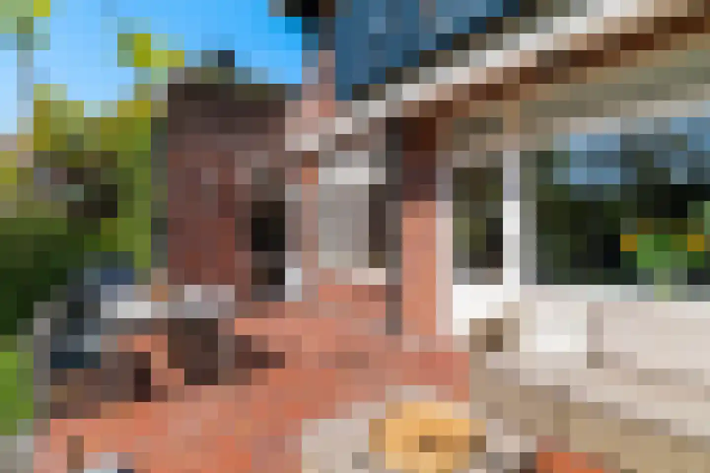 Plaswijcklaan 51 Rotterdam thumbnail 17