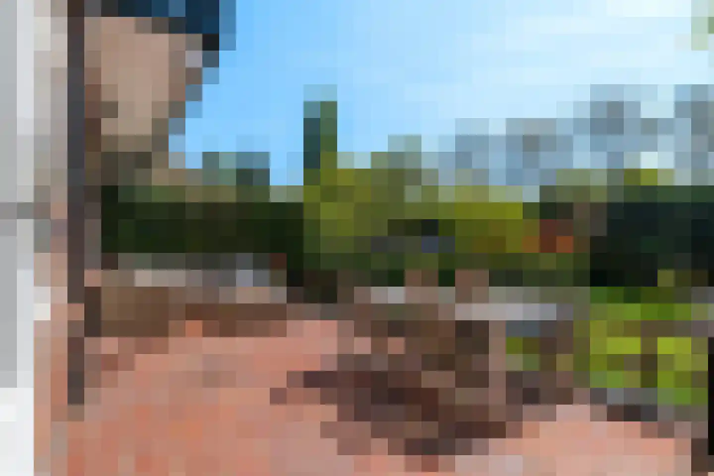 Plaswijcklaan 51 Rotterdam thumbnail 18