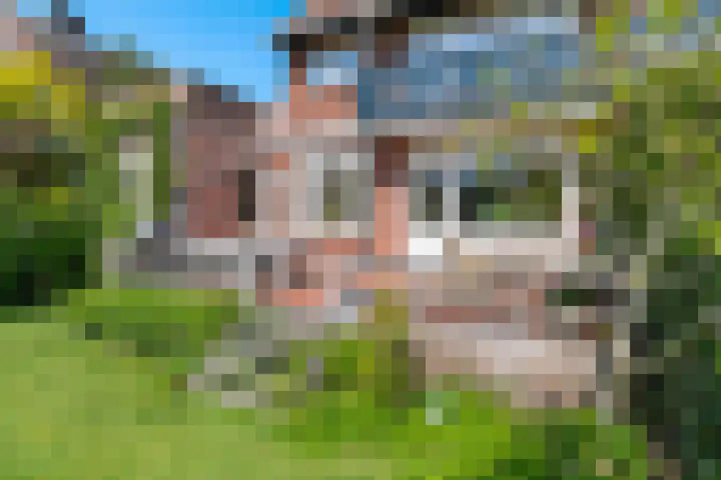 Plaswijcklaan 51 Rotterdam thumbnail 19