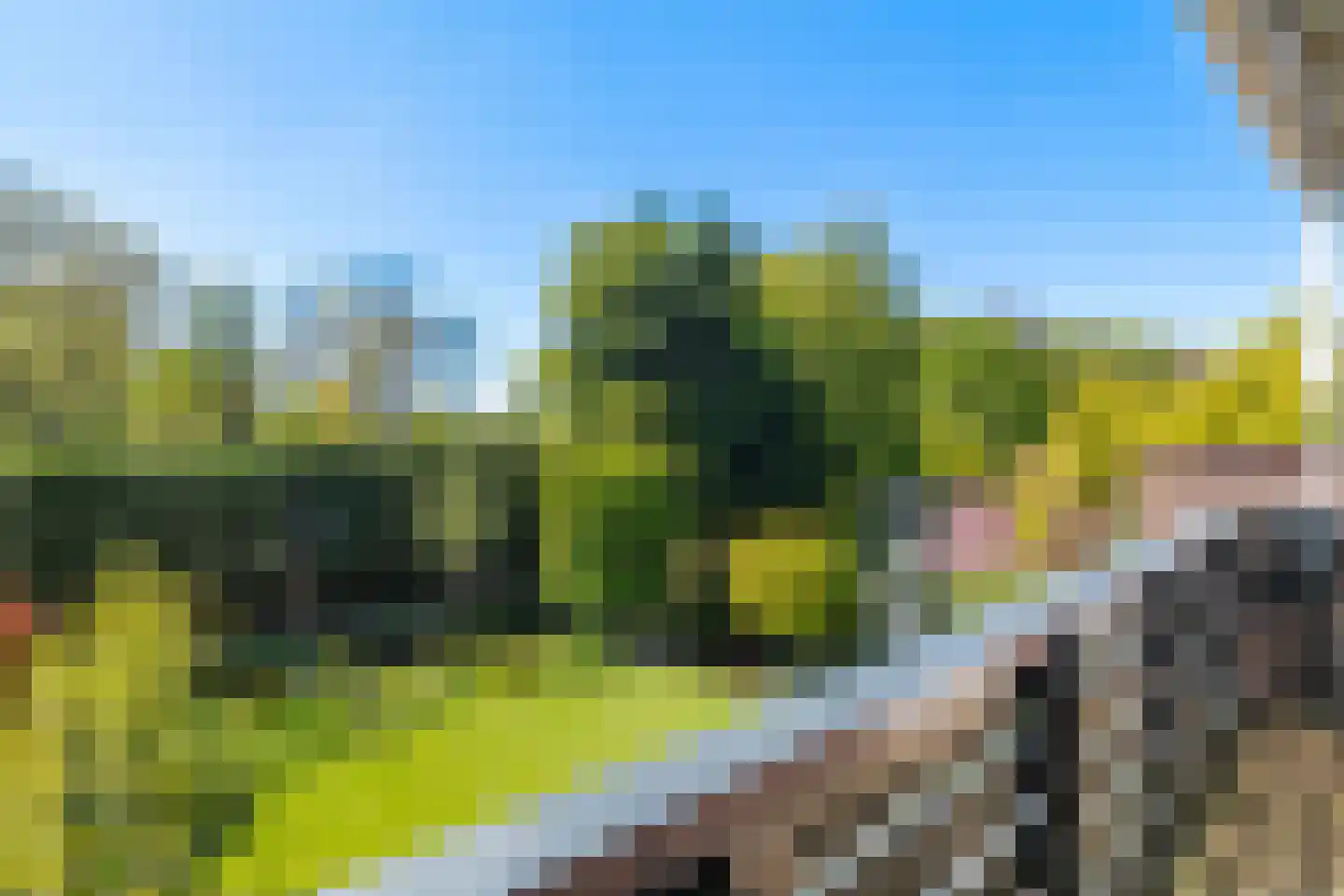 Plaswijcklaan 51 Rotterdam thumbnail 23