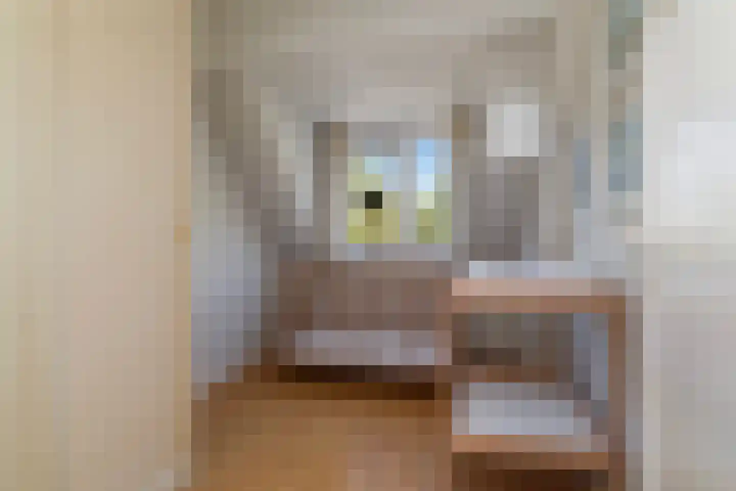 Plaswijcklaan 51 Rotterdam thumbnail 37