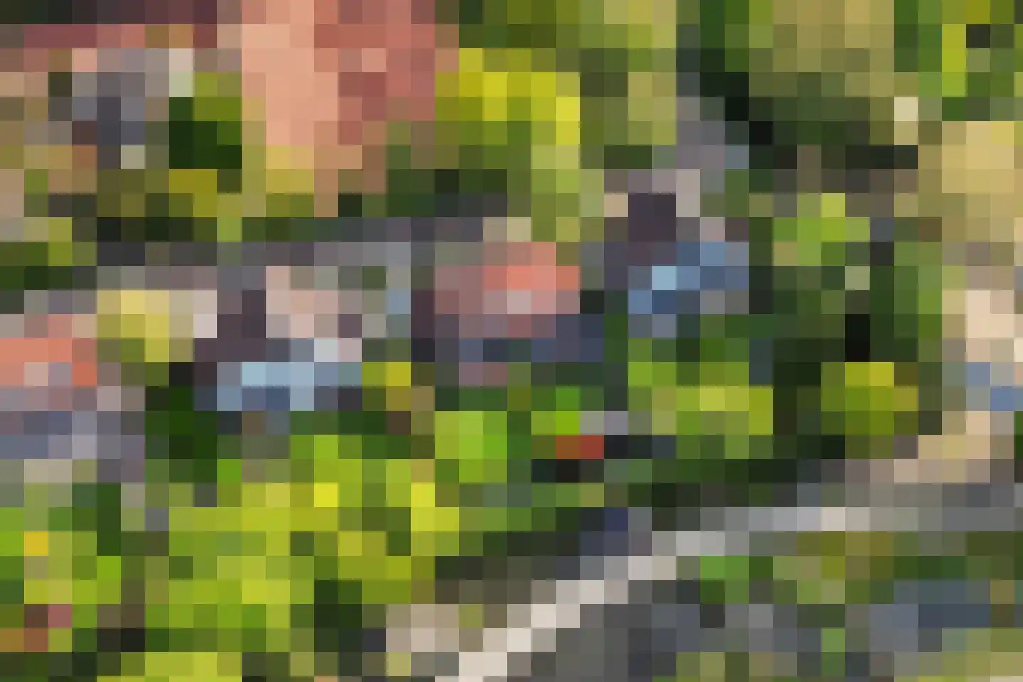 Plaswijcklaan 51 Rotterdam thumbnail 46