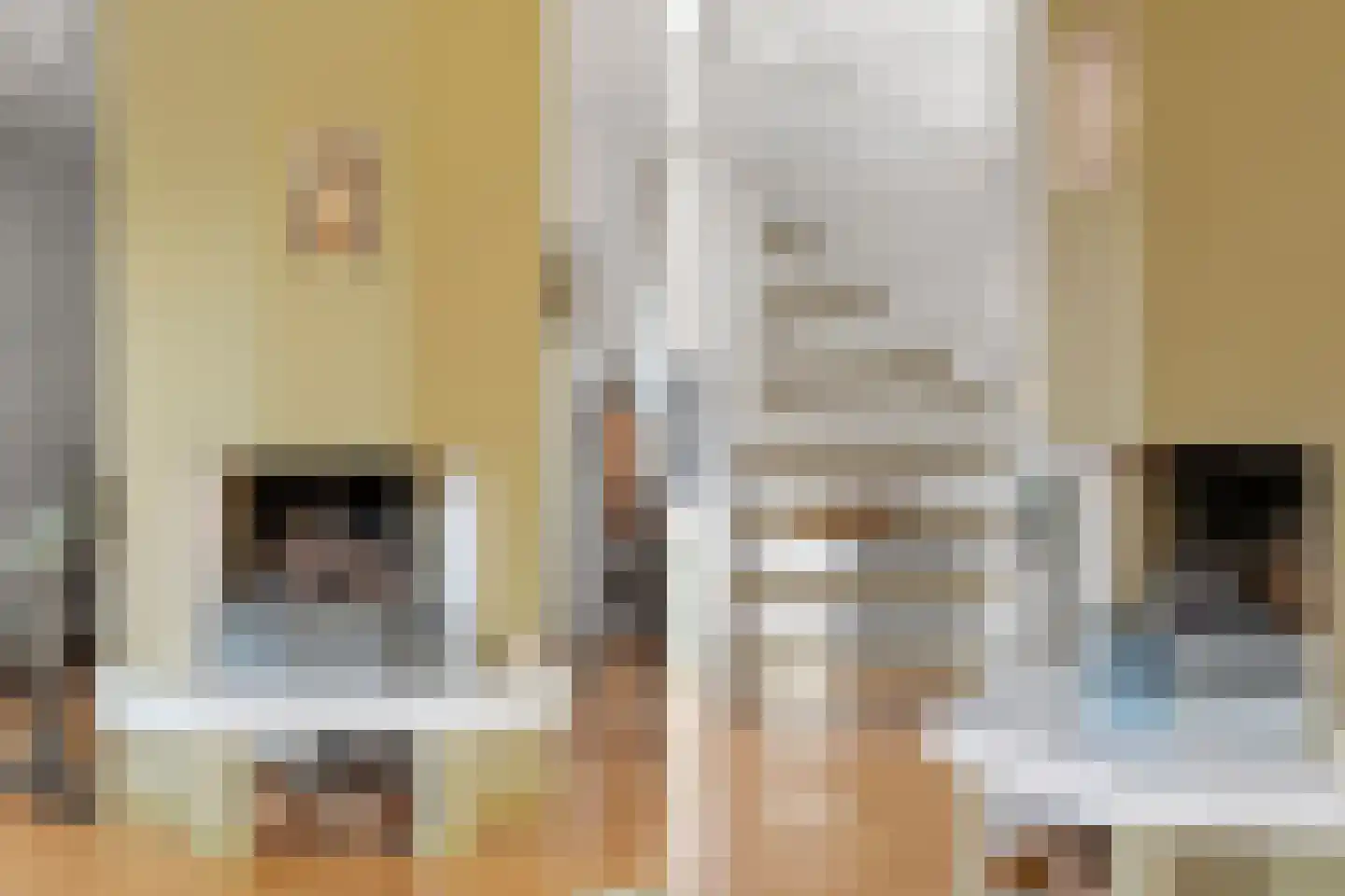 Plaswijk 11 Vinkeveen thumbnail 11