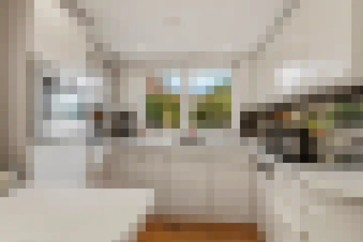 Plaswijk 11 Vinkeveen thumbnail 12