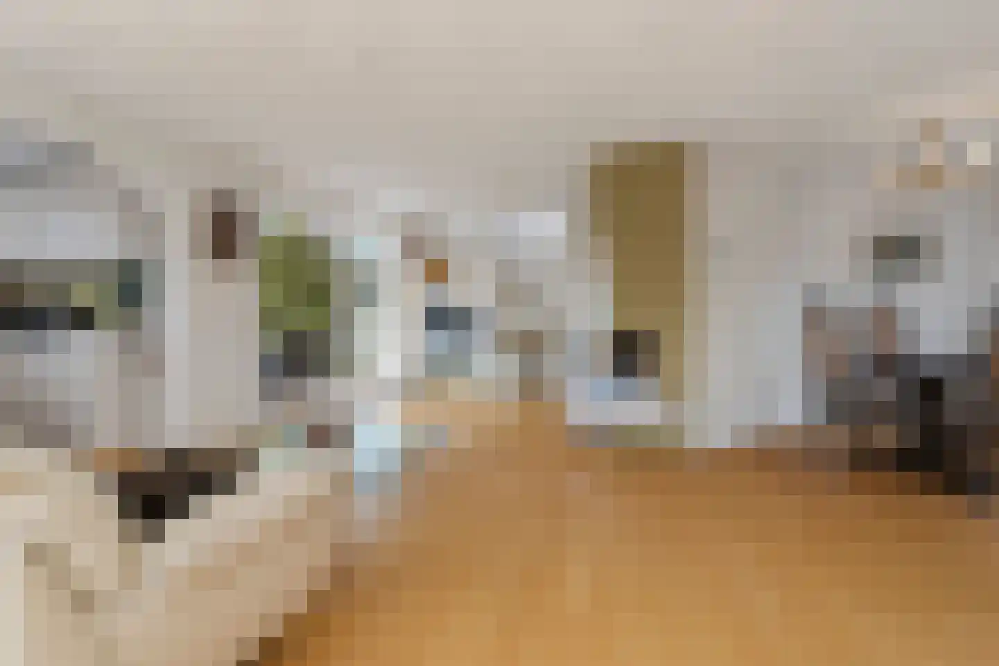 Plaswijk 11 Vinkeveen thumbnail 9
