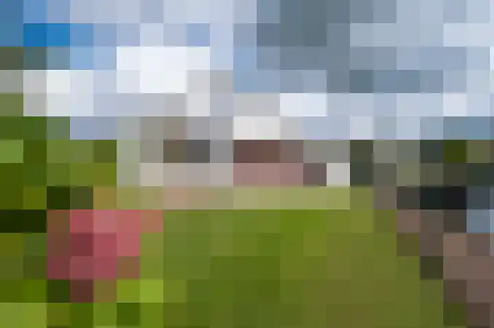 Plaswijk 13 Vinkeveen thumbnail 15