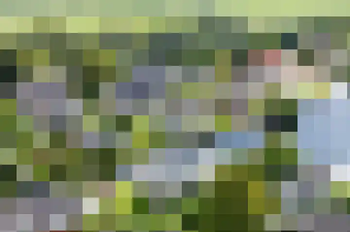 Plaswijk 13 Vinkeveen thumbnail 17