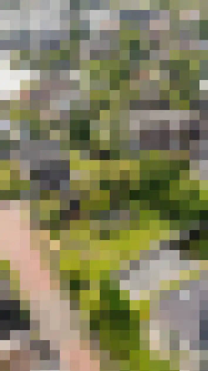 Plaswijk 29 Vinkeveen thumbnail 10