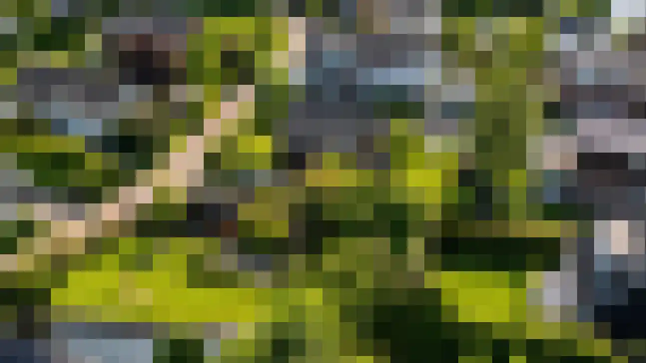 Plaswijk 29 Vinkeveen thumbnail 5