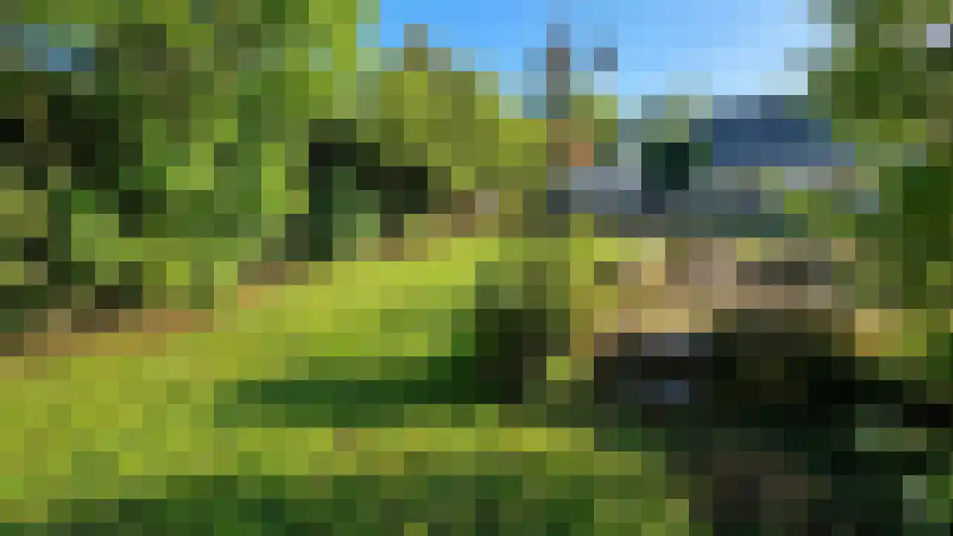 Plaswijk 29 Vinkeveen thumbnail 6