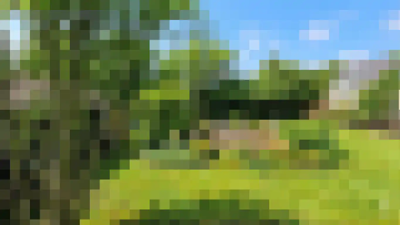 Plaswijk 29 Vinkeveen thumbnail 7