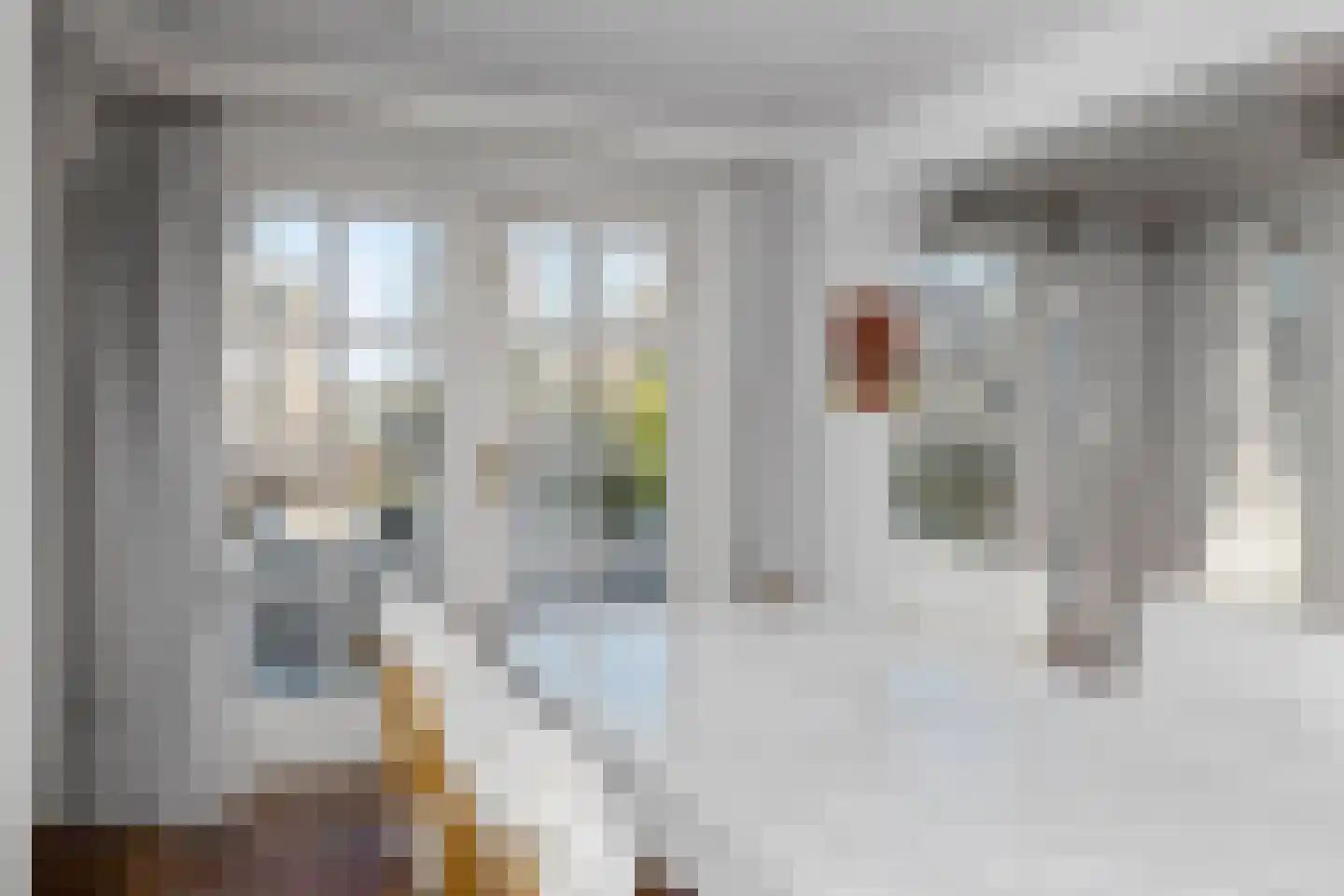 Plaswijk 31 Vinkeveen thumbnail 17