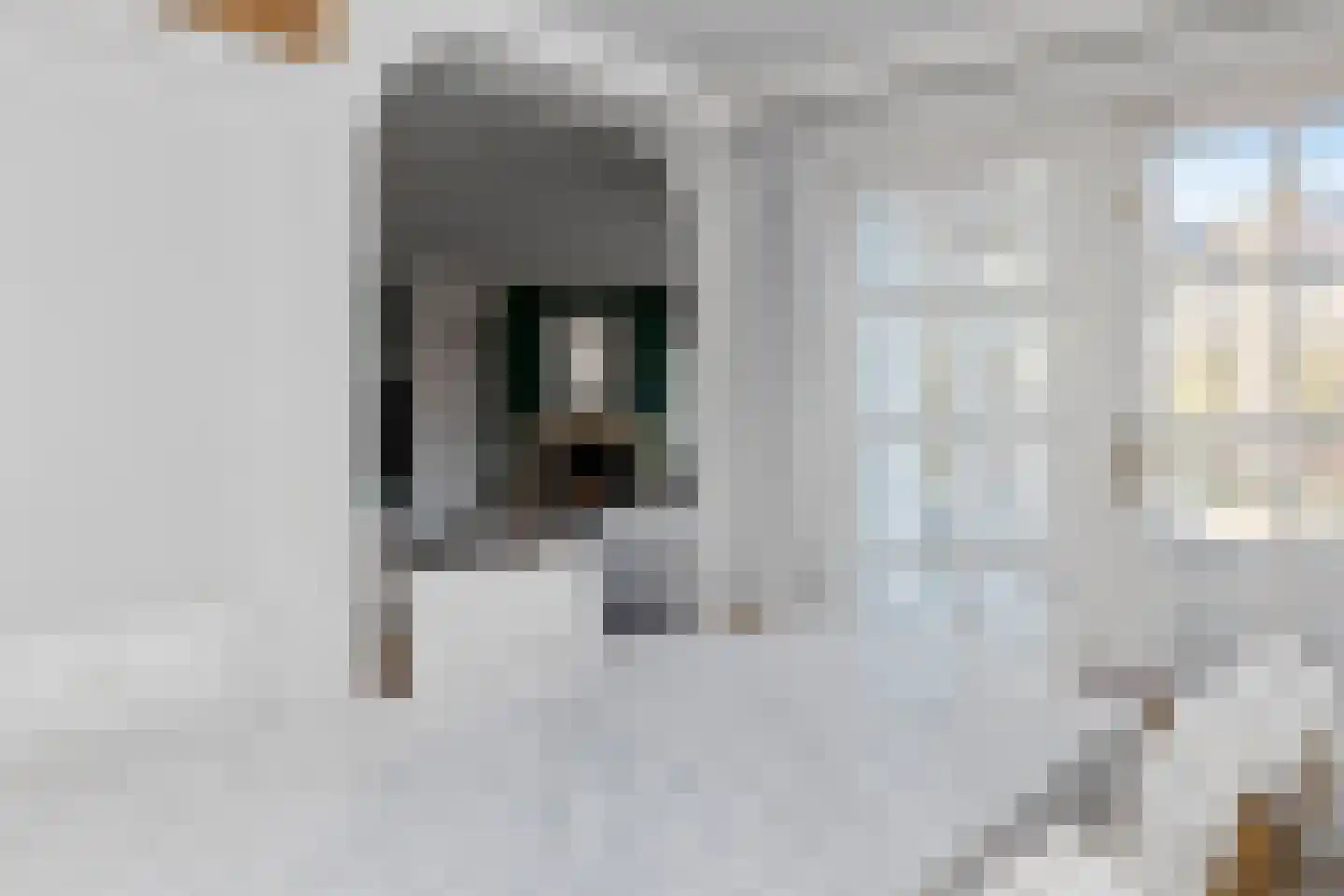 Plaswijk 31 Vinkeveen thumbnail 18