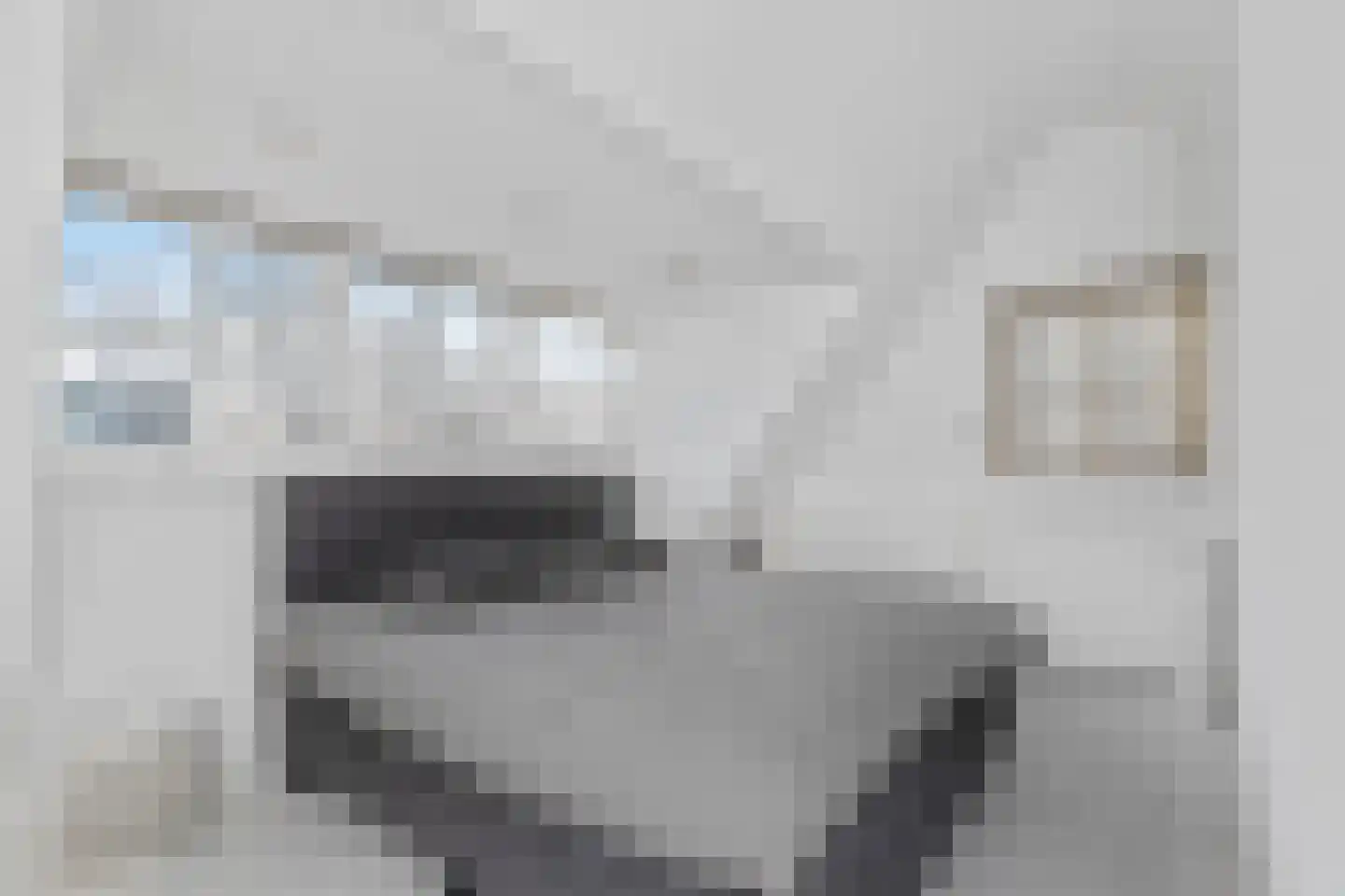 Plaswijk 31 Vinkeveen thumbnail 23