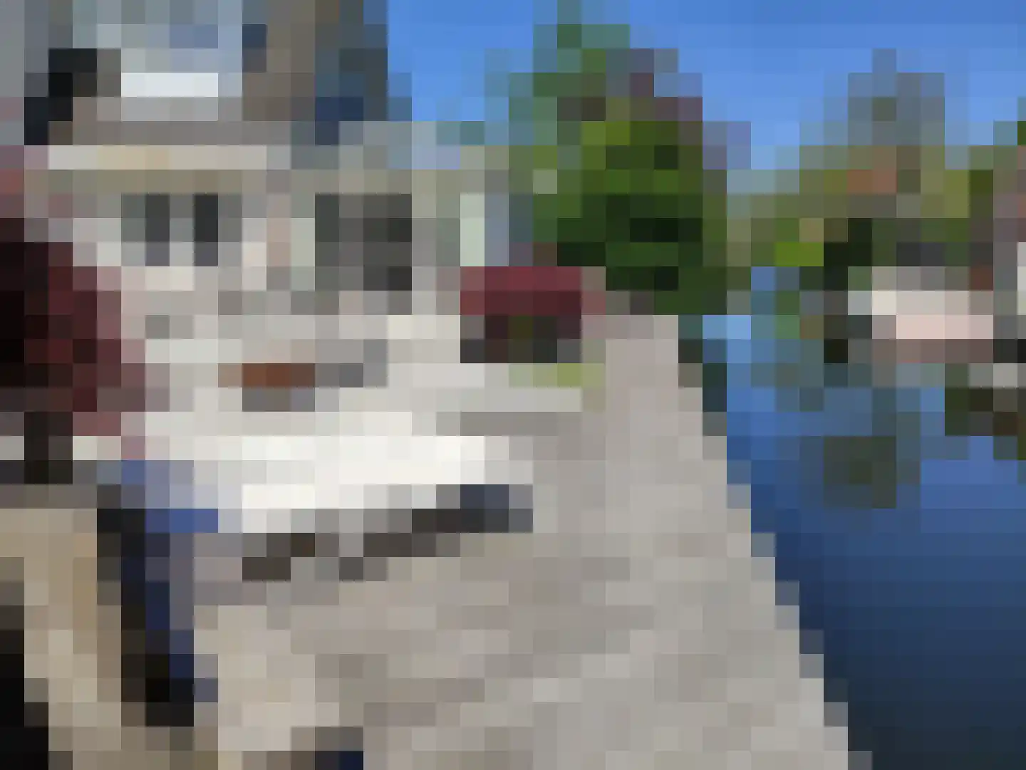 Plaswijk 31 Vinkeveen thumbnail 30