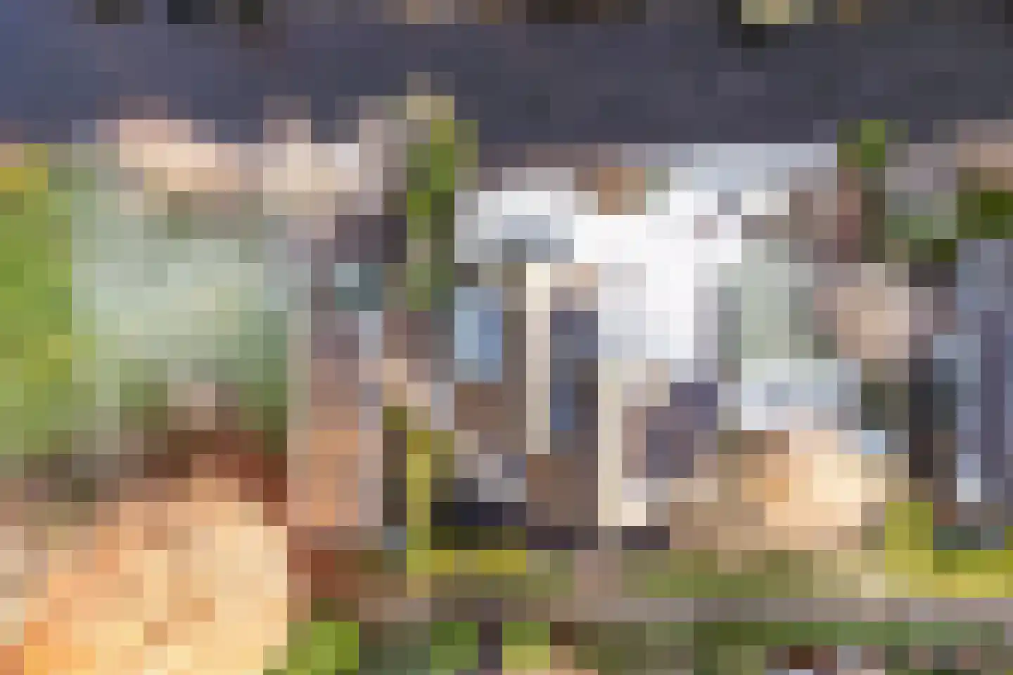 Plaswijk 31 Vinkeveen thumbnail 7
