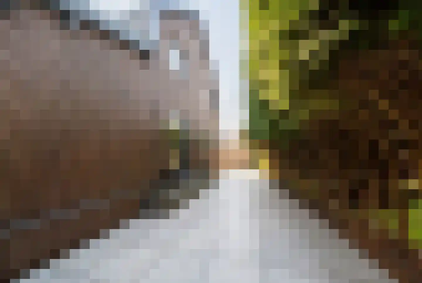 Plaswijk 57 Vinkeveen thumbnail 14