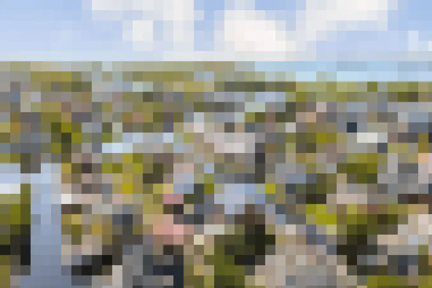 Plaswijk 57 Vinkeveen thumbnail 35