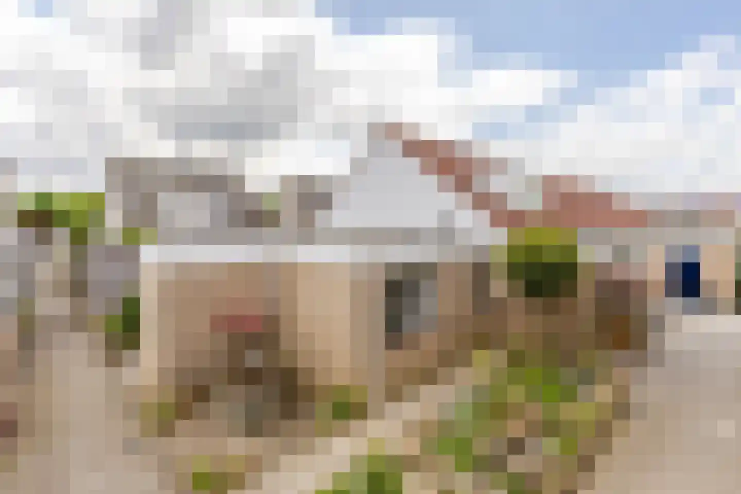 Plaszoom 1 in 's-Gravendeel
