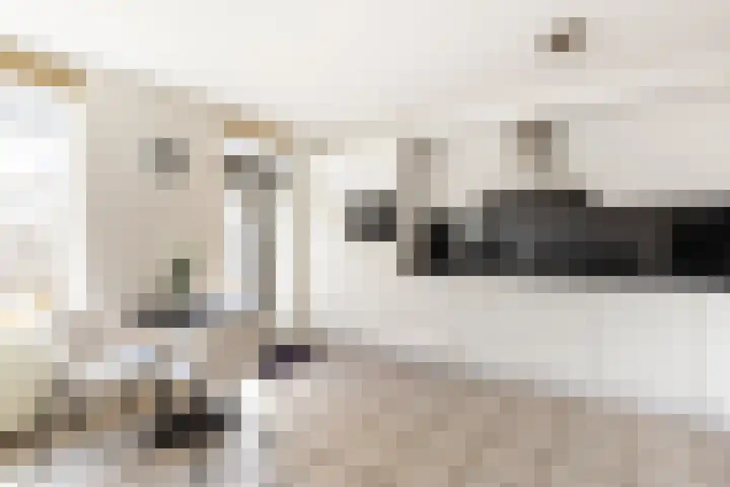 Plaszoom 1 's-Gravendeel thumbnail 11