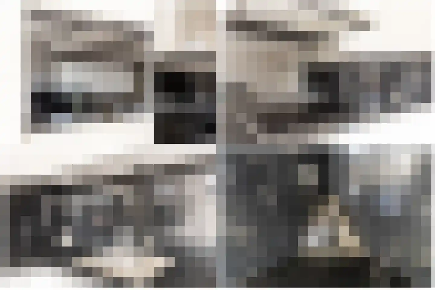 Plaszoom 1 's-Gravendeel thumbnail 13