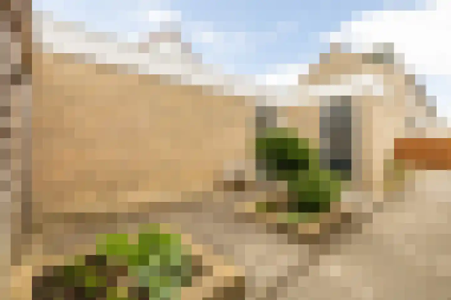 Plaszoom 1 's-Gravendeel thumbnail 19