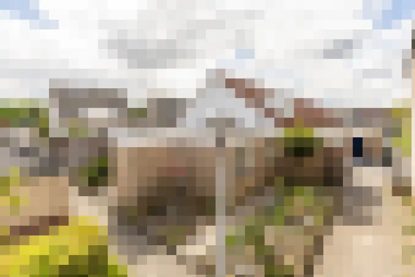 Plaszoom 1 's-Gravendeel thumbnail 20
