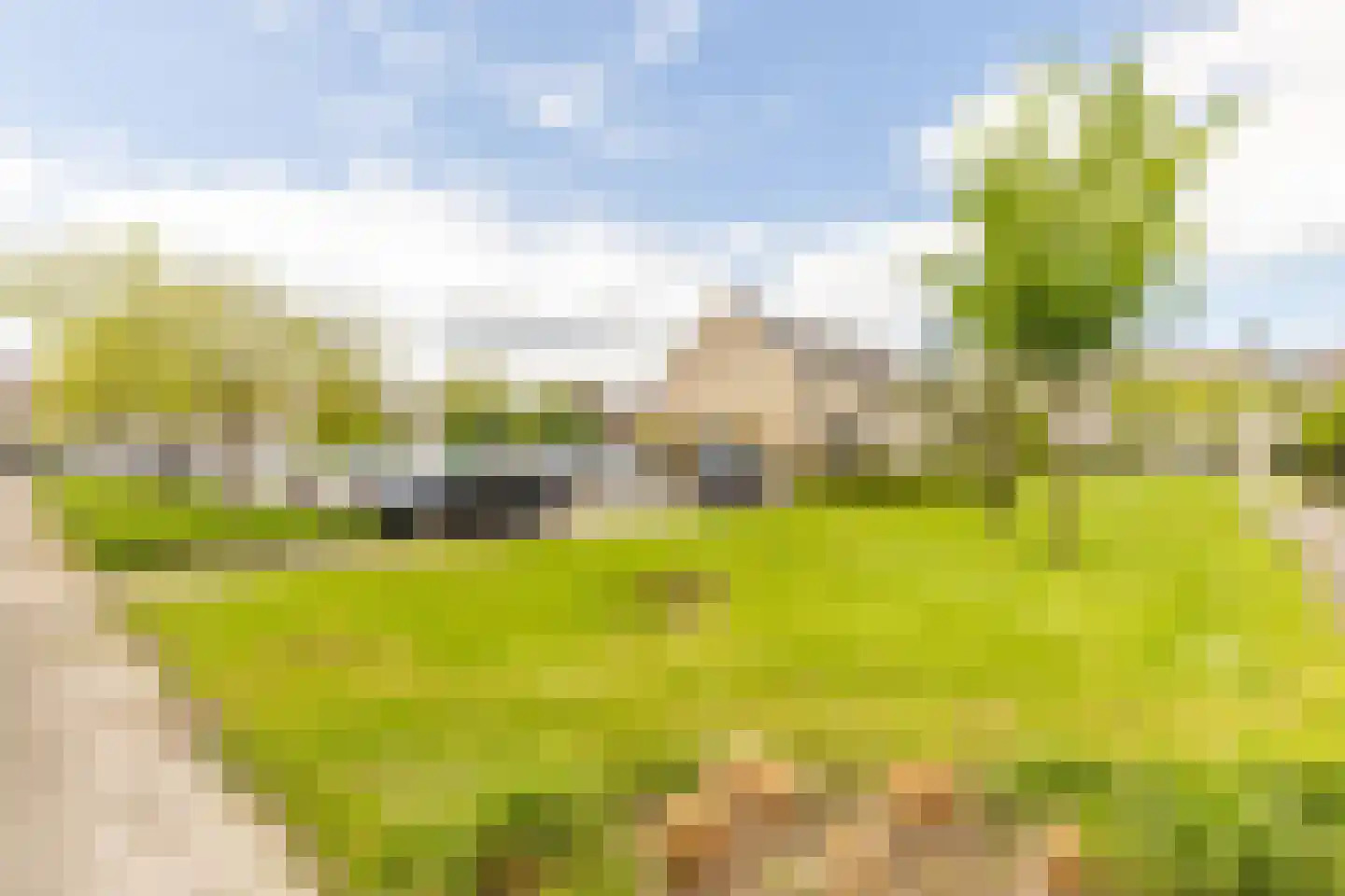 Plaszoom 1 's-Gravendeel thumbnail 21