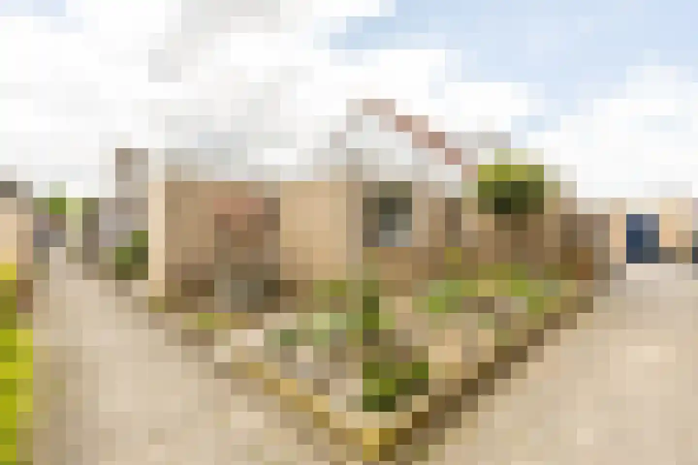 Plaszoom 1 's-Gravendeel thumbnail 22