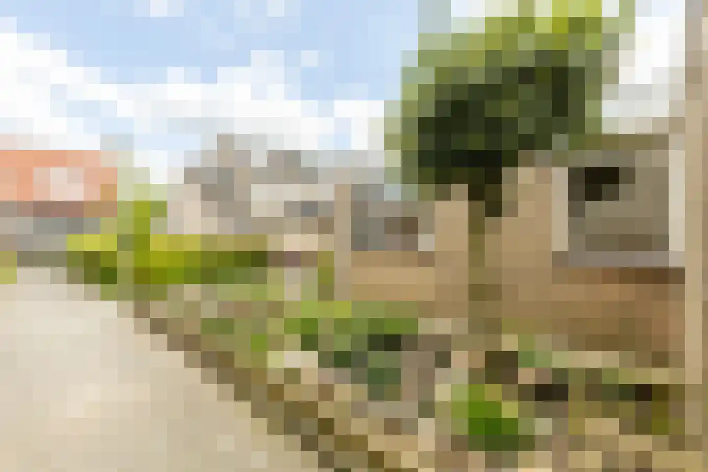 Plaszoom 1 's-Gravendeel thumbnail 23