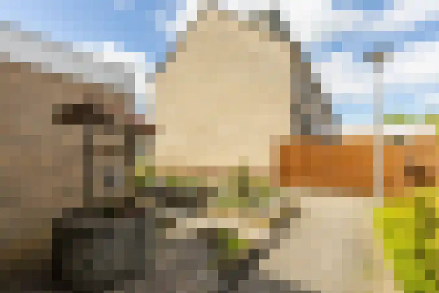 Plaszoom 1 's-Gravendeel thumbnail 24