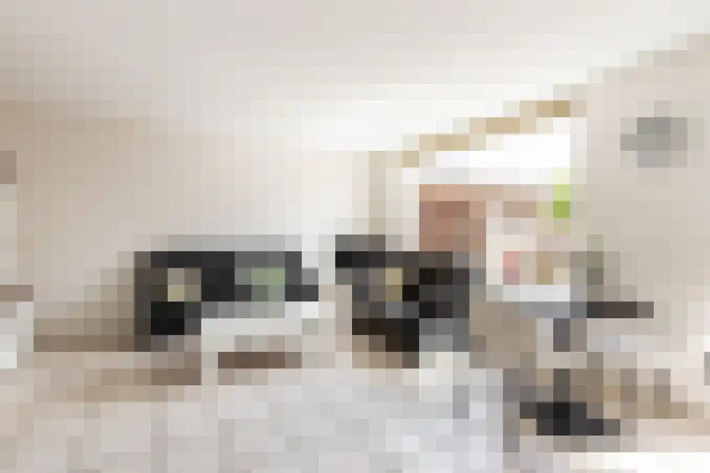 Plaszoom 1 's-Gravendeel thumbnail 8