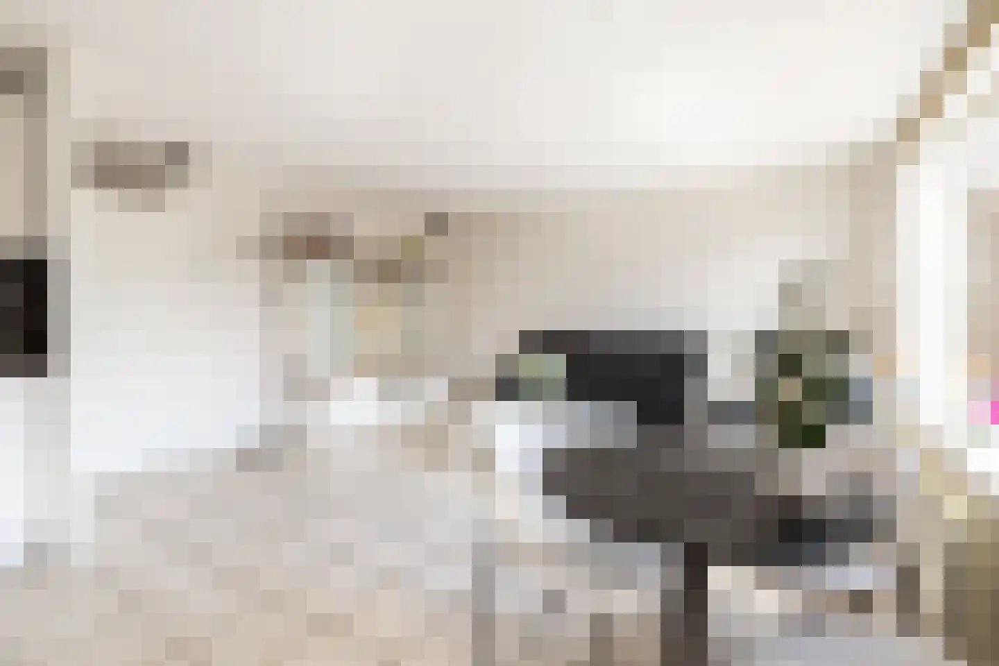 Plaszoom 1 's-Gravendeel thumbnail 9