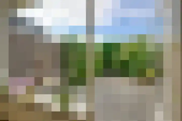 Plataan 11 Naaldwijk thumbnail 10