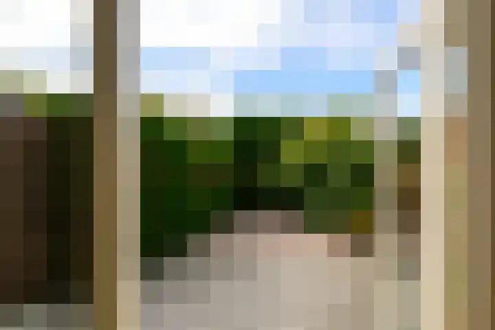 Plataan 11 Naaldwijk thumbnail 11