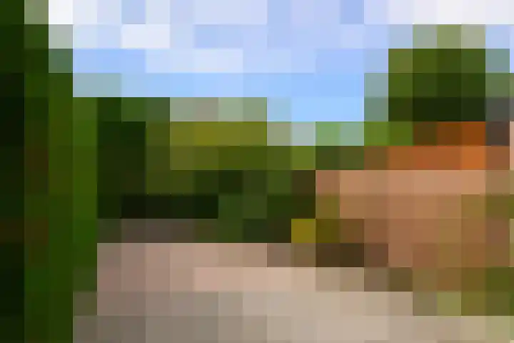 Plataan 11 Naaldwijk thumbnail 12