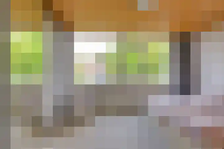 Plataan 11 Naaldwijk thumbnail 16