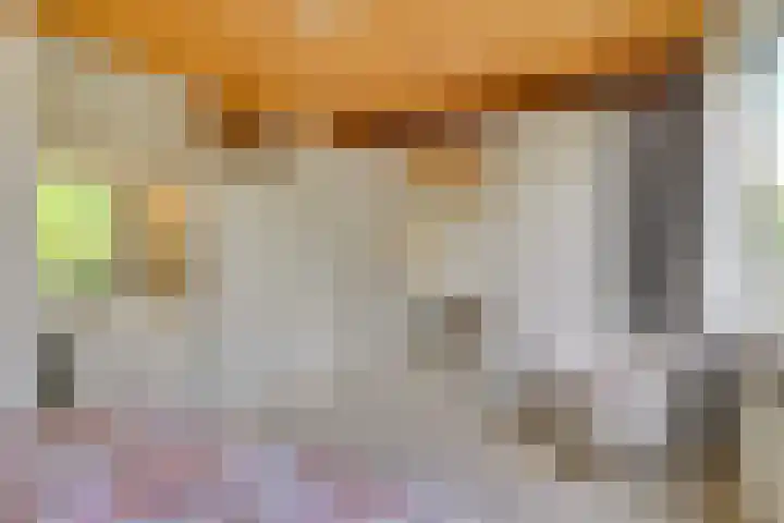 Plataan 11 Naaldwijk thumbnail 17