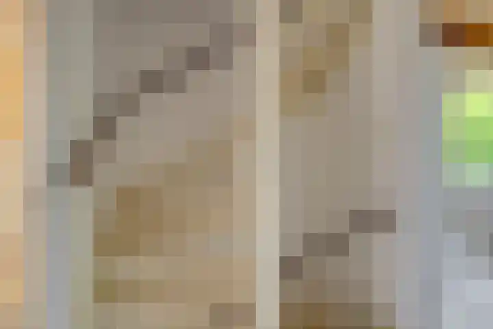 Plataan 11 Naaldwijk thumbnail 23