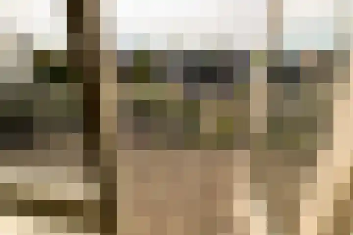 Plataan 11 Naaldwijk thumbnail 25