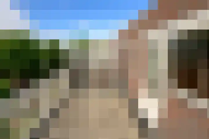 Plataan 11 Naaldwijk thumbnail 26