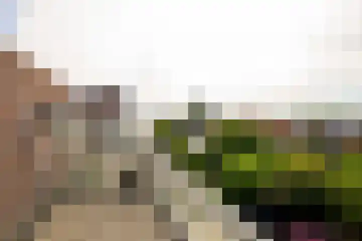 Plataan 11 Naaldwijk thumbnail 27