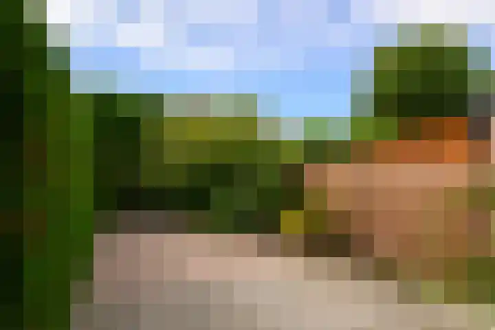 Plataan 11 Naaldwijk foto 3