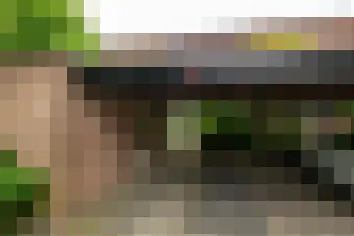 Plataan 11 Naaldwijk thumbnail 30