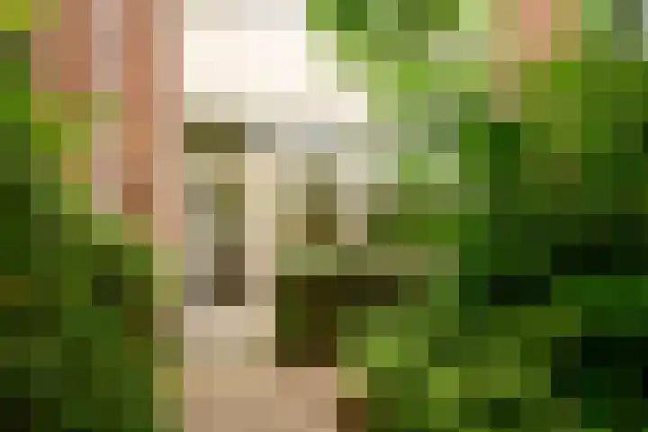 Plataan 11 Naaldwijk thumbnail 31