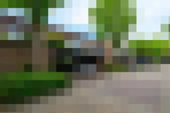 Plataan 11 Naaldwijk thumbnail 32