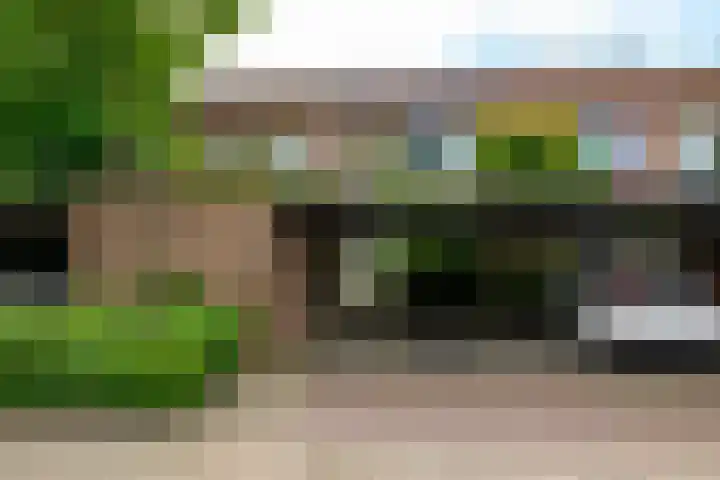 Plataan 11 Naaldwijk thumbnail 37