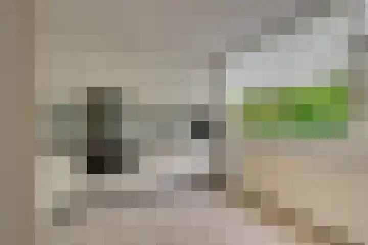Plataan 11 Naaldwijk thumbnail 6