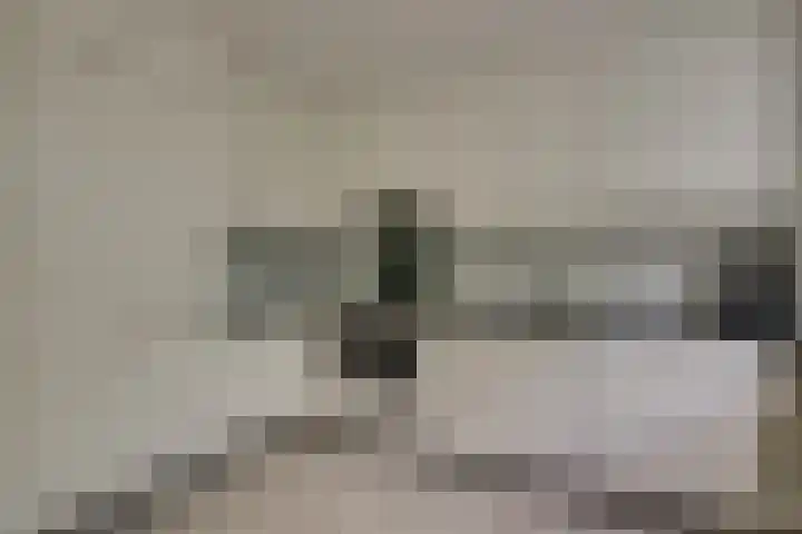 Plataan 11 Naaldwijk thumbnail 7